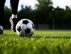 沙场逆境求,生记,攻防摇摆中,立博体育官网,APP下载,注册领彩金,官方网站,网站入口